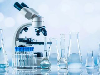 lab