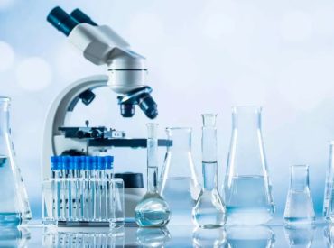 lab